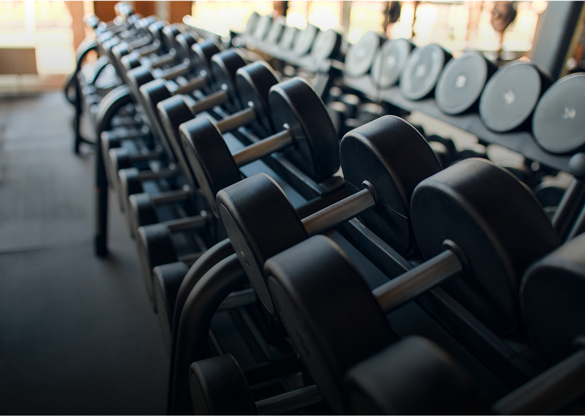 Row of dumbbells on a rack